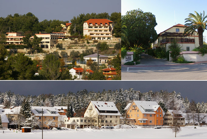 Zedakah Collage
